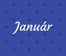 2019. JANUR